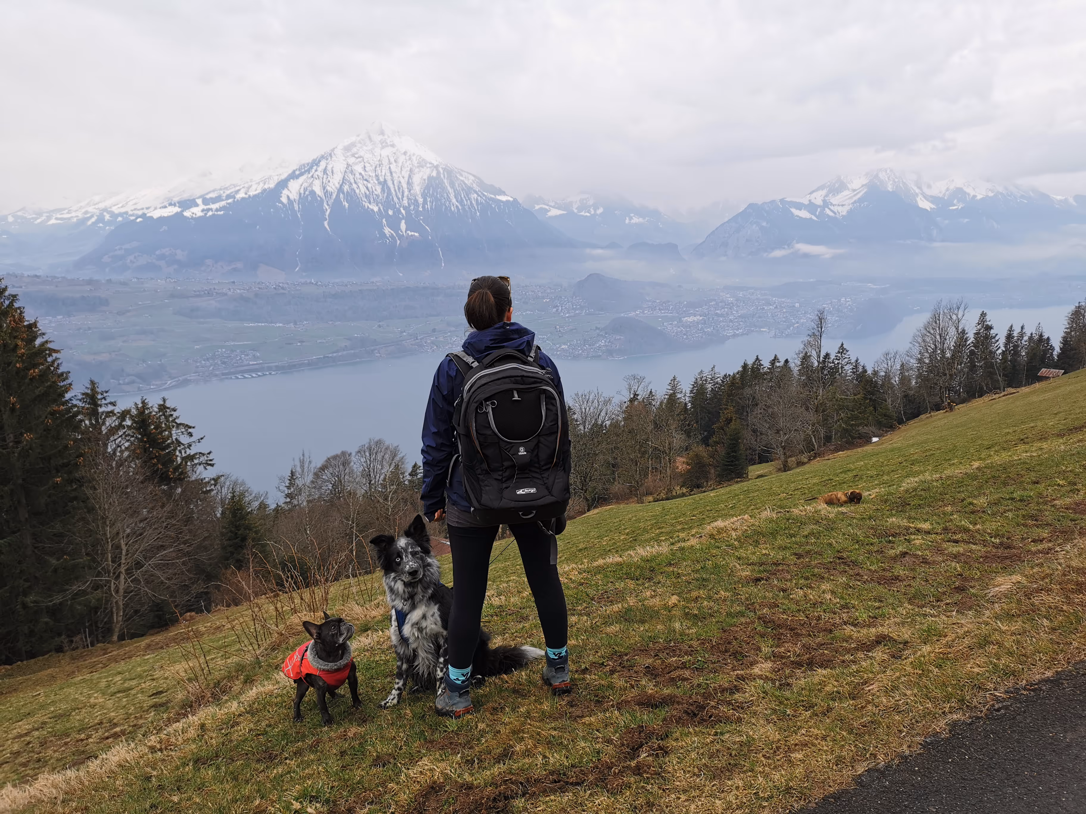Hund und Mensch in den Bergen