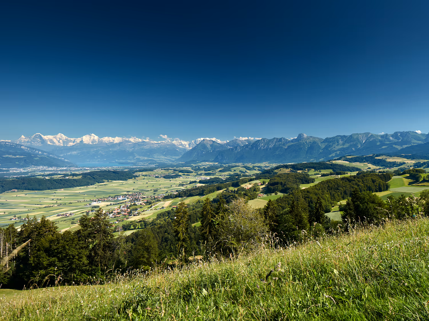 Paysage avec des montagnes en arrière-plan