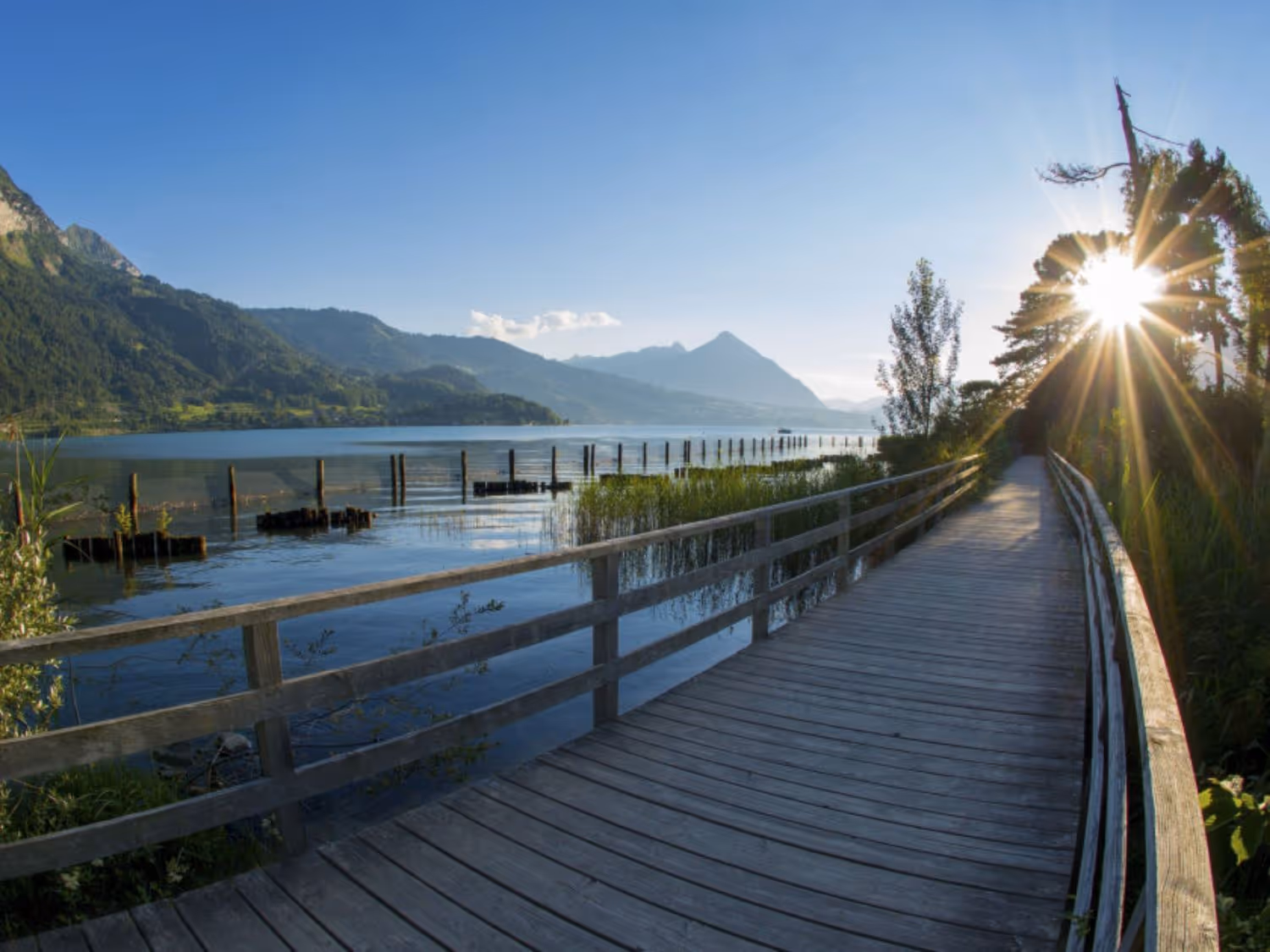 Chemin de rive Unterseen au bord du lac de Thoune