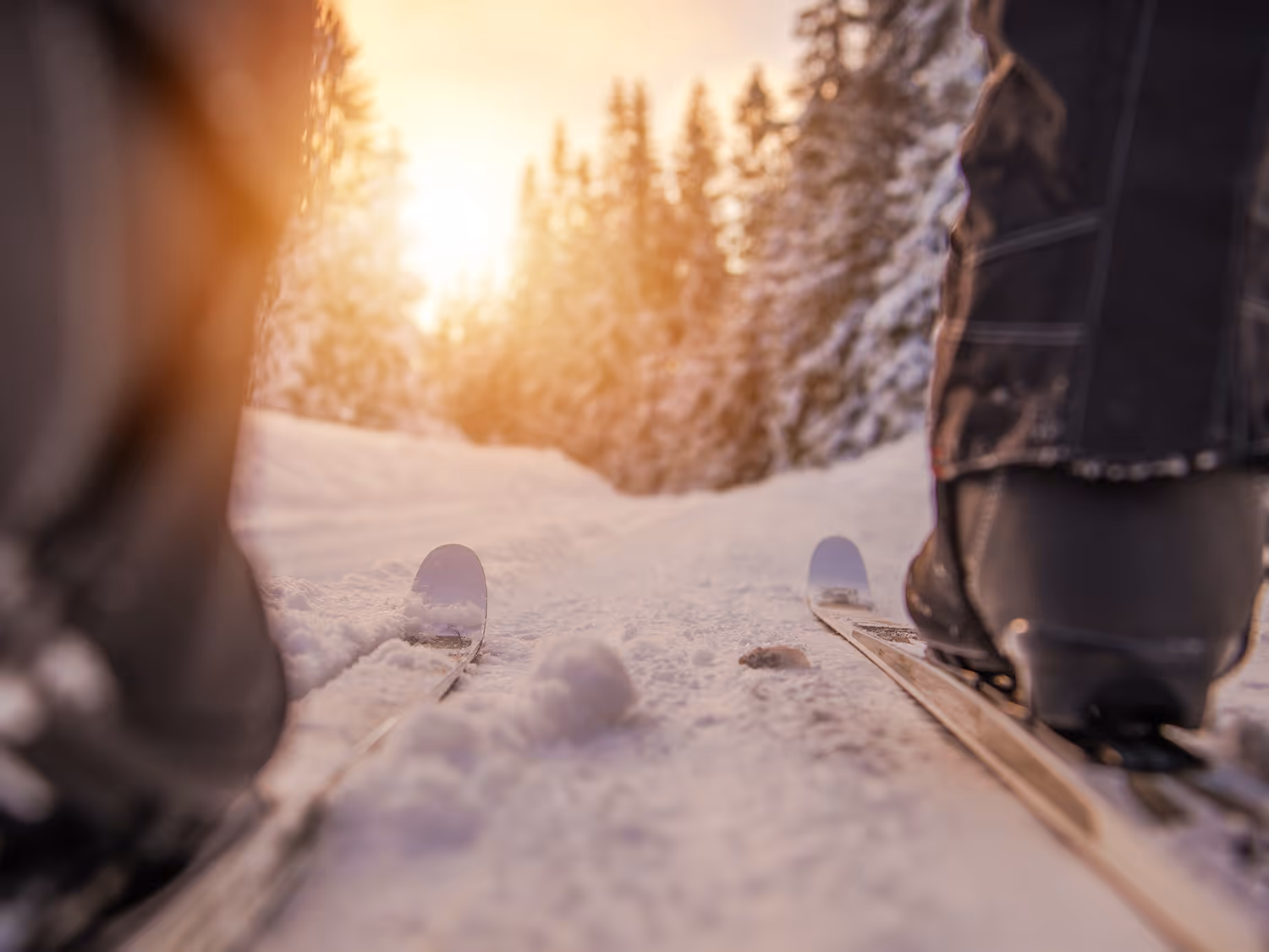 Ski de fond en hiver avec un coucher de soleil dans la forêt