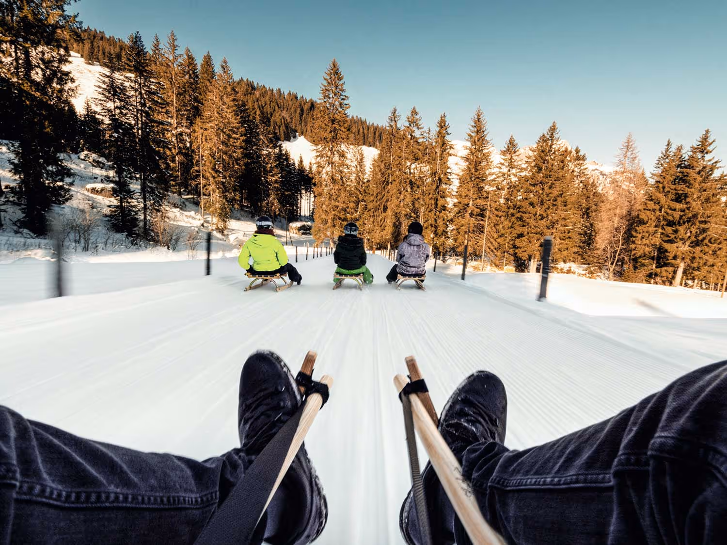 Faire de la luge dans l'Oberland bernois