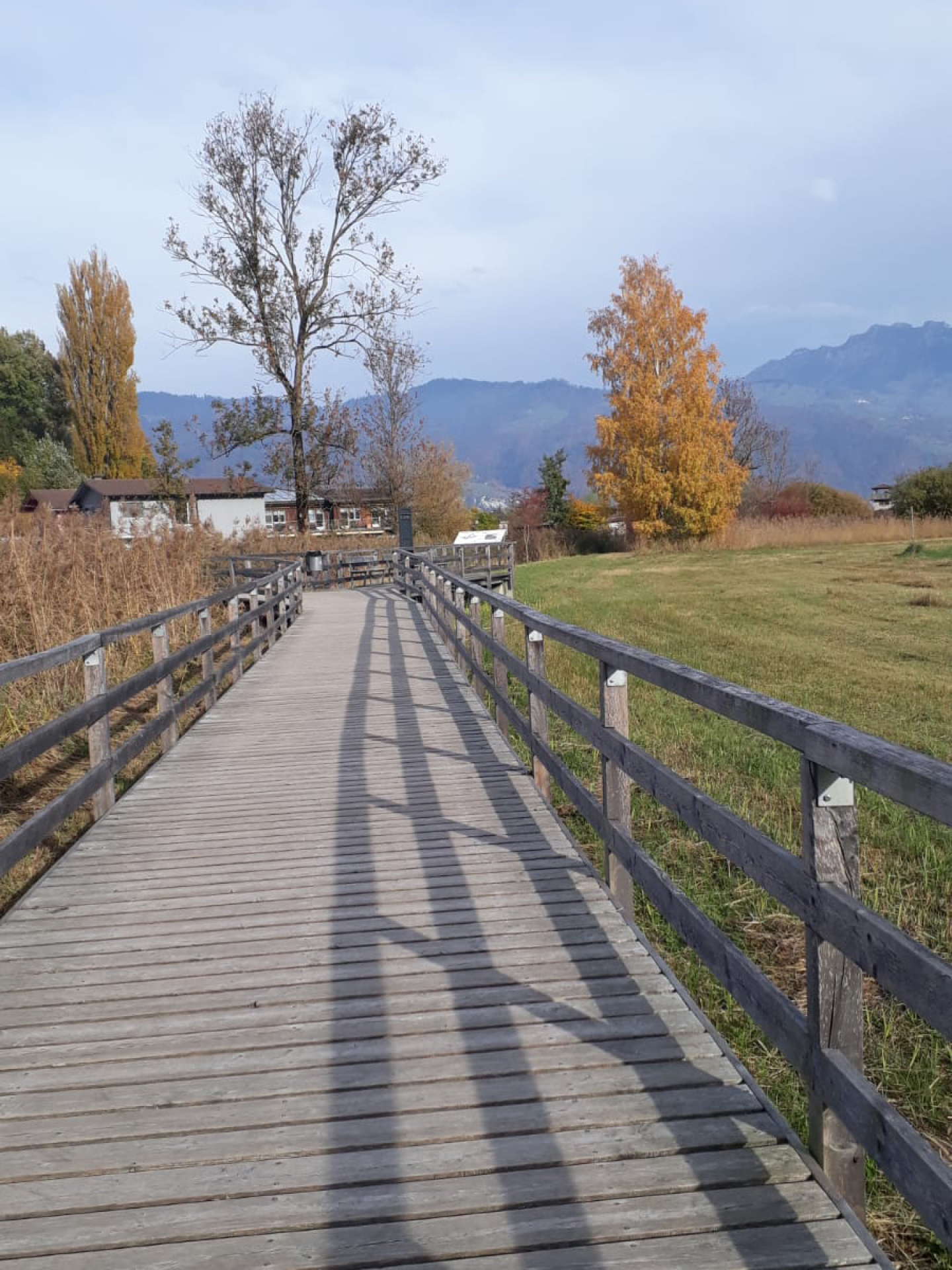 Wooden bridge with railing