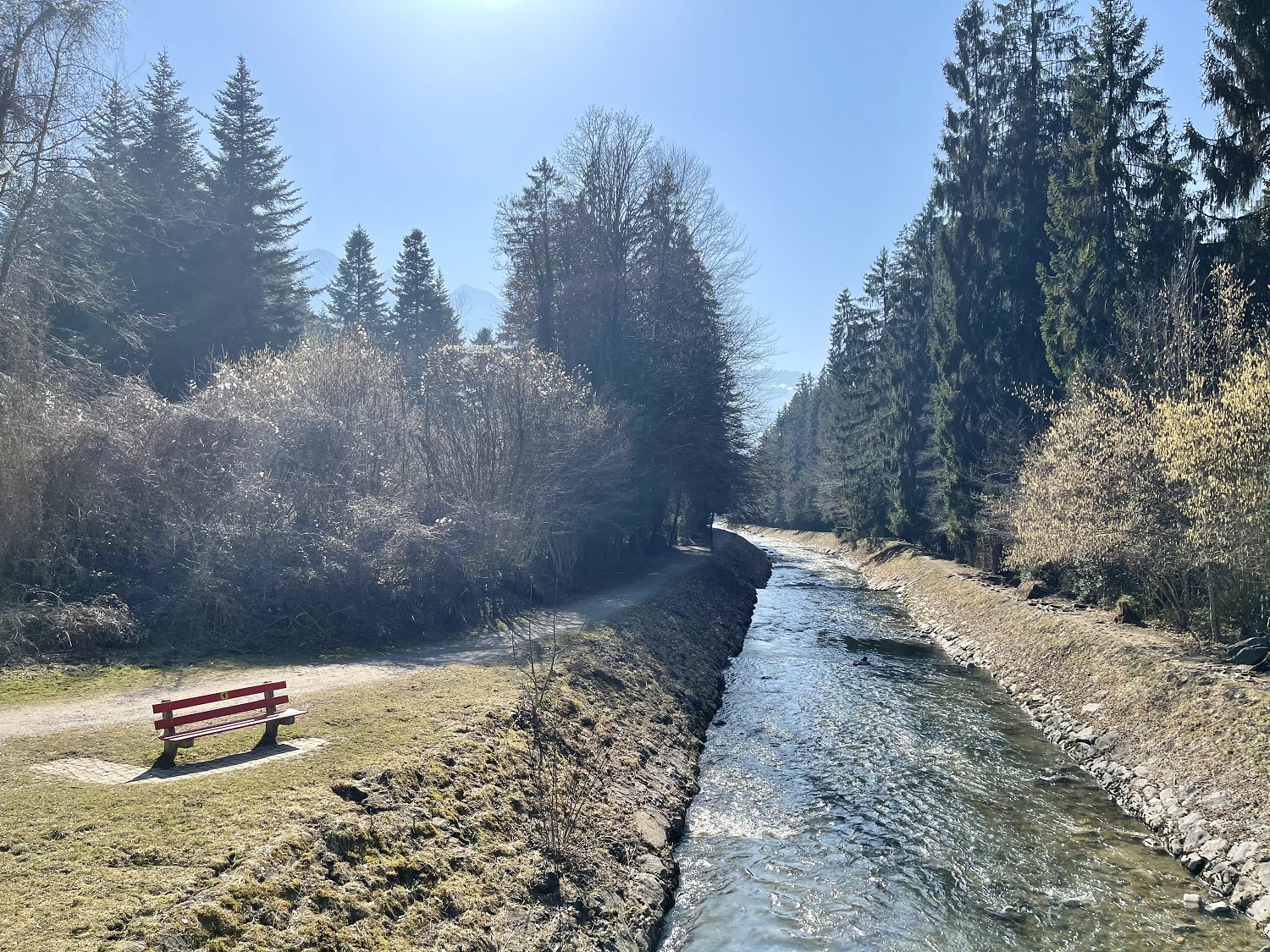 Banc devant une rivière entourée d'arbres