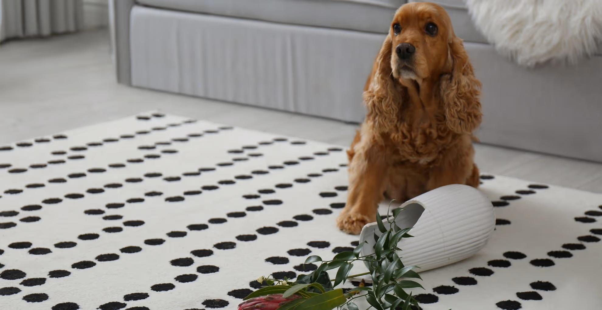 Dog with broken vase