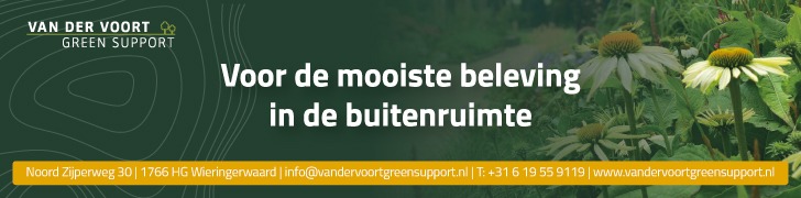 Van der Voort