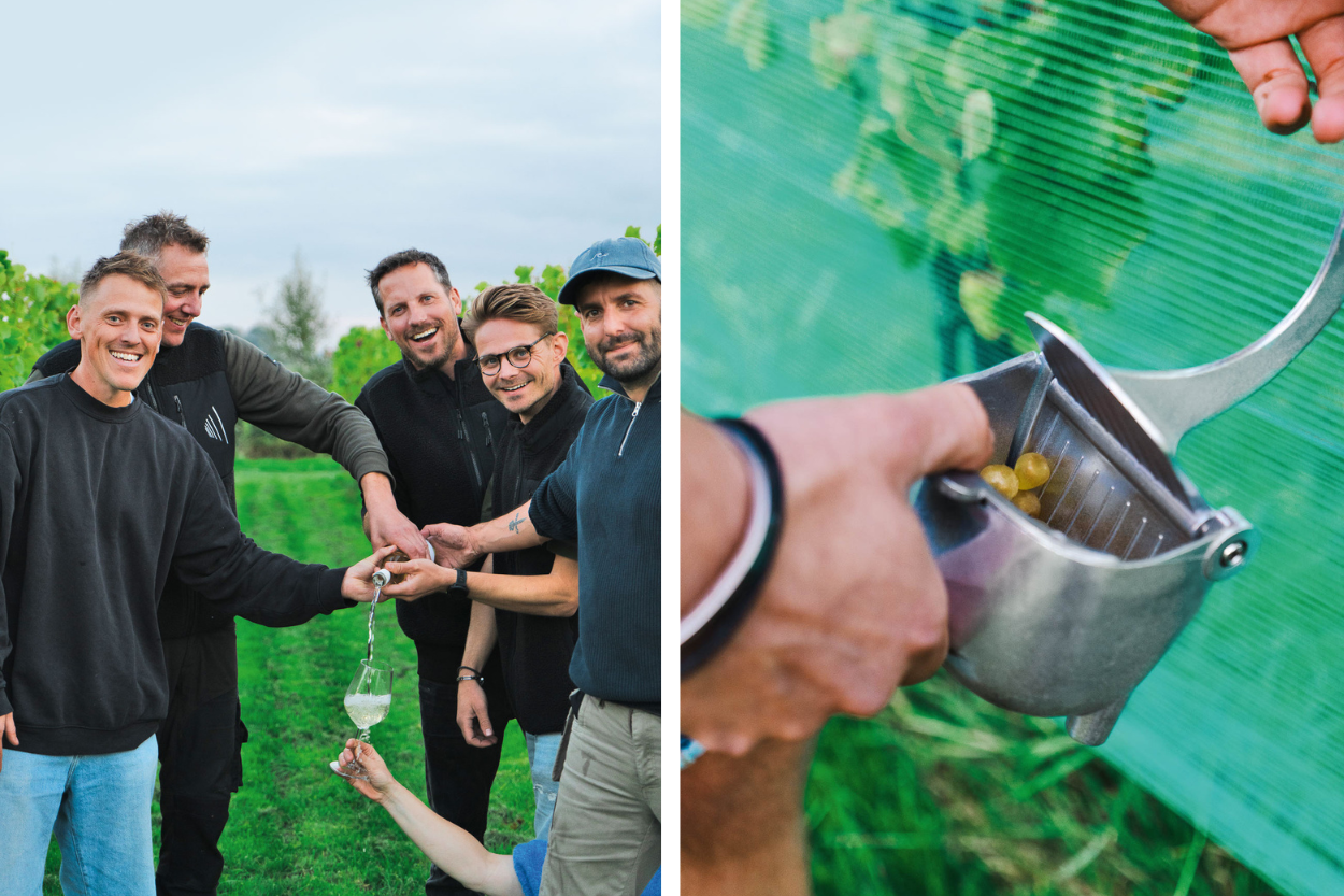 Zinderende druiven, bruisende plannen
