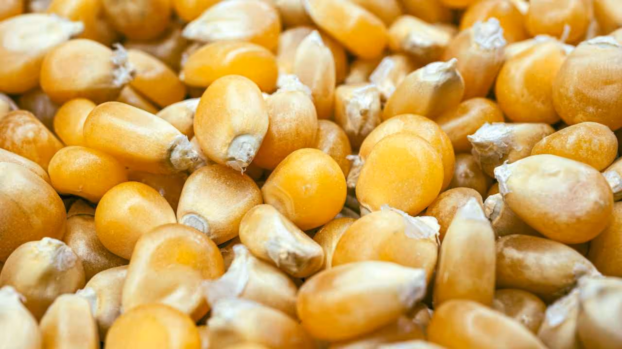 A Kernel of Truth Does Not Justify the Unloving Gut-Punch