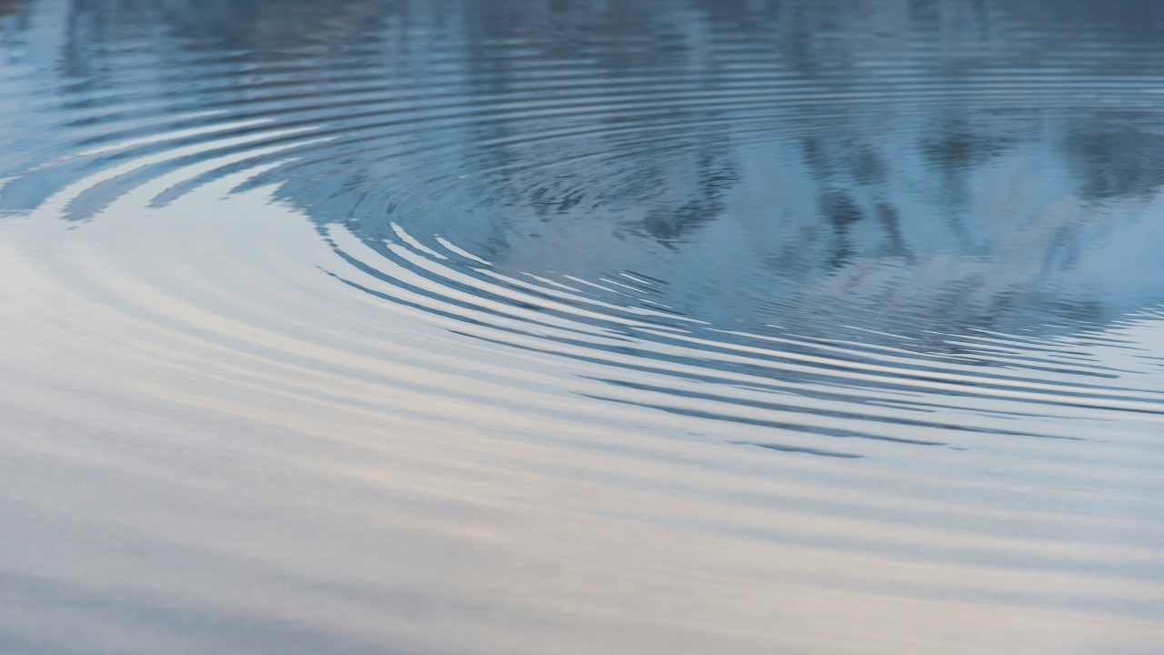 “My Response Is My Responsibility”—7 Fears and 7 Benefits