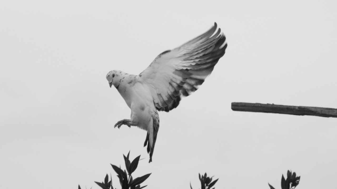 Why Some Choose to Forgive a Spouse—And How They Do It