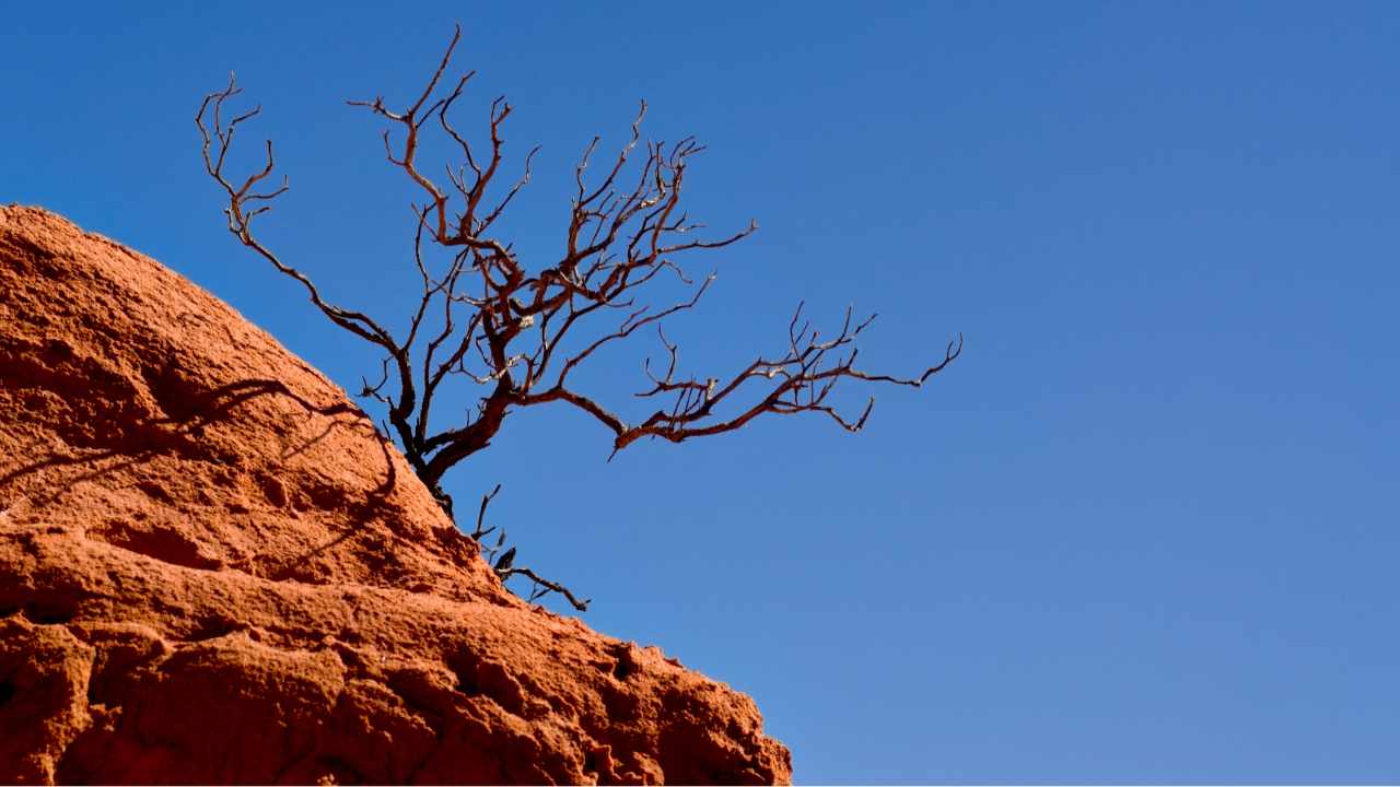 If Solomon Struggled, What Hope Is There For Us? More Than You Think