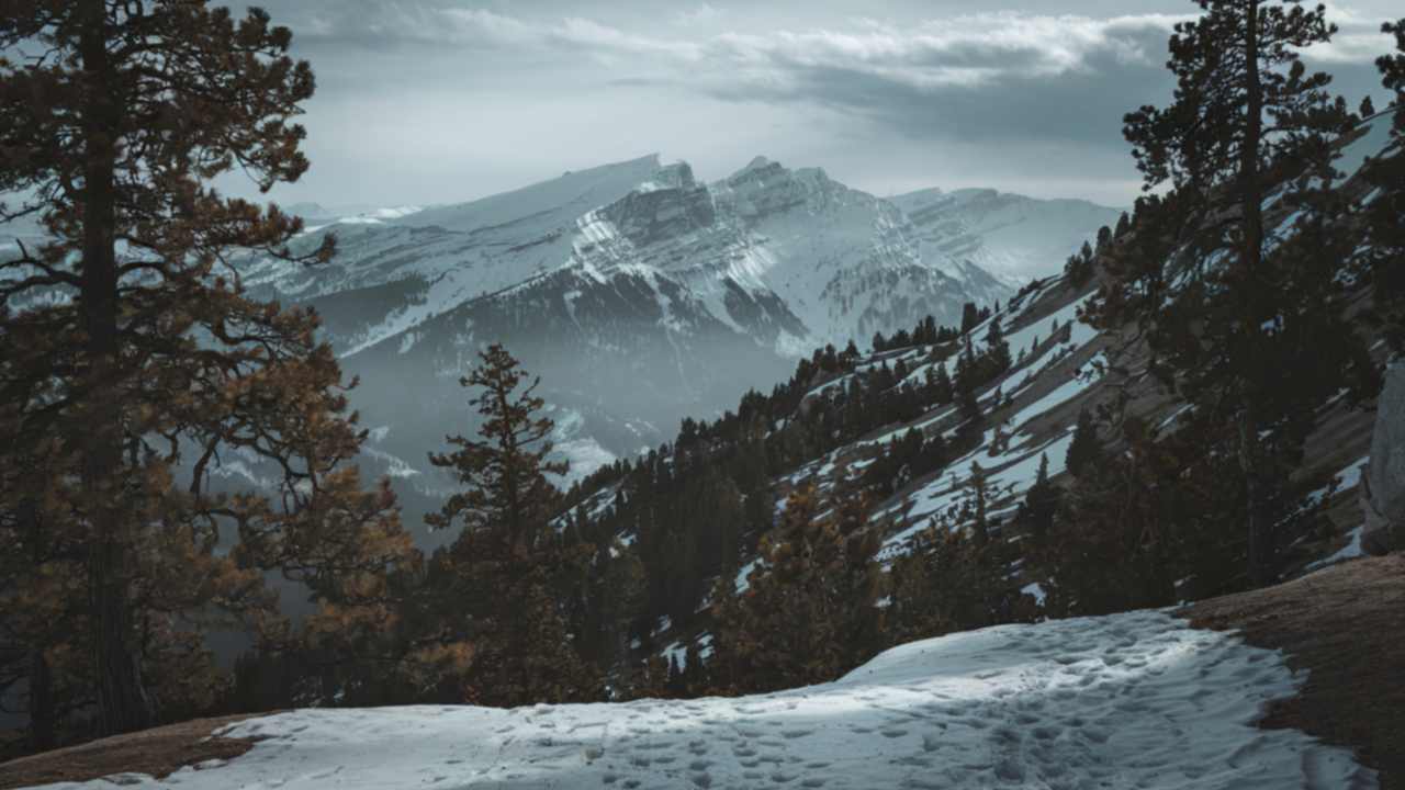 Why Does a Wife Not Hear That Her Husband Needs Respect?