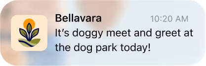 Bellavara app notification announcing a dog park meet and greet event.