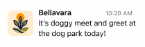 Bellavara app notification announcing a dog park meet and greet event.