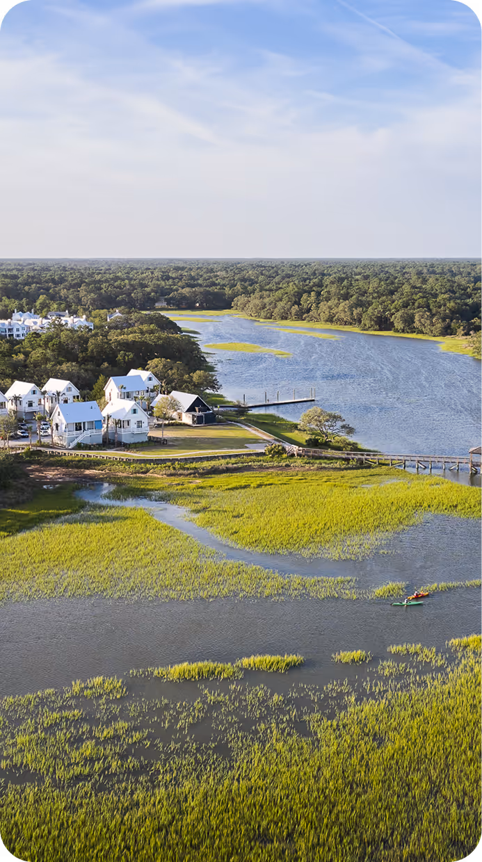 River flowing through a green wetland under a clear blue sky