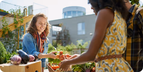 Smiling woman handing fresh tomatoes to a customer at an outdoor farmers market stand on a sunny day.