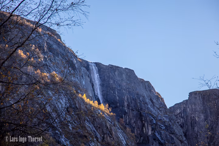 Car or Bus to Vøringsfossen