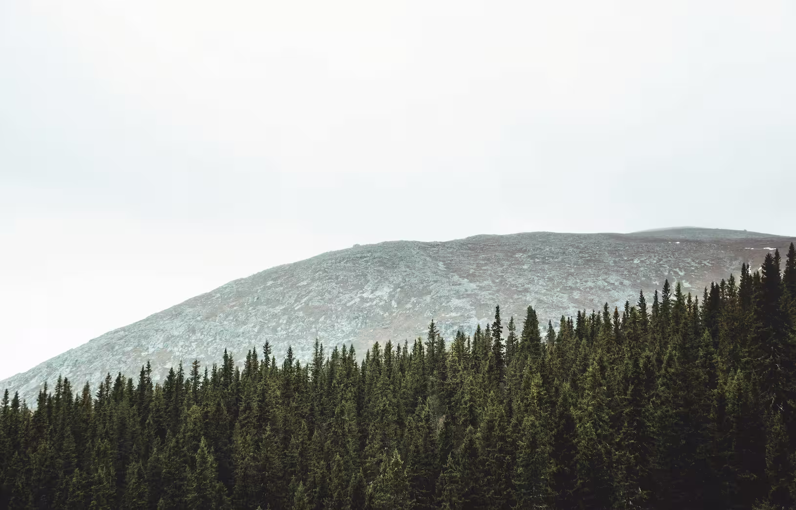 Main challenges sustainability teams face and how to overcome them