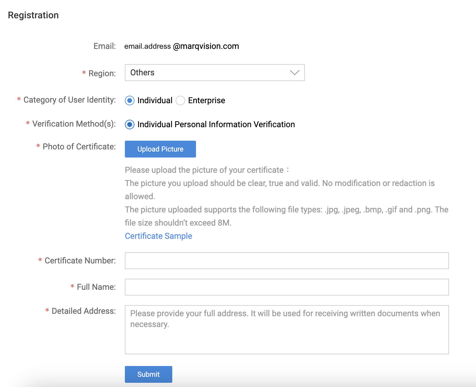 Screenshot of the Alibaba Group IPR submission page