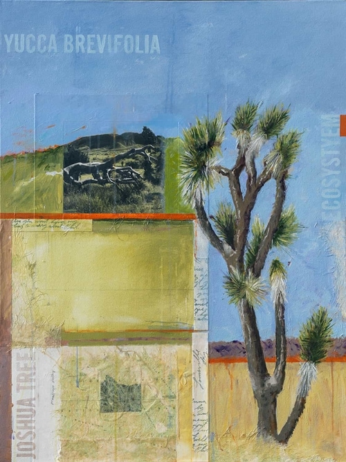 Desert Journey
