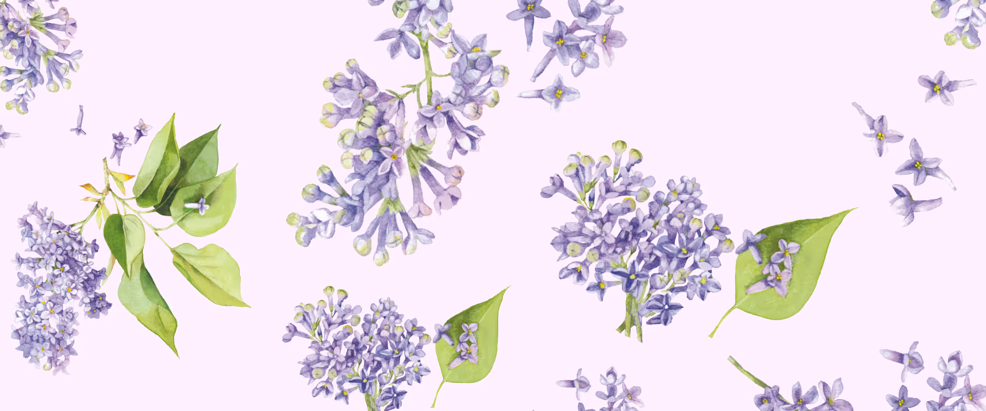 Cumbres borrascosas (Jardín Secreto)