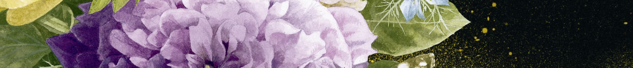 Orgullo y prejuicio (Jardín Secreto)