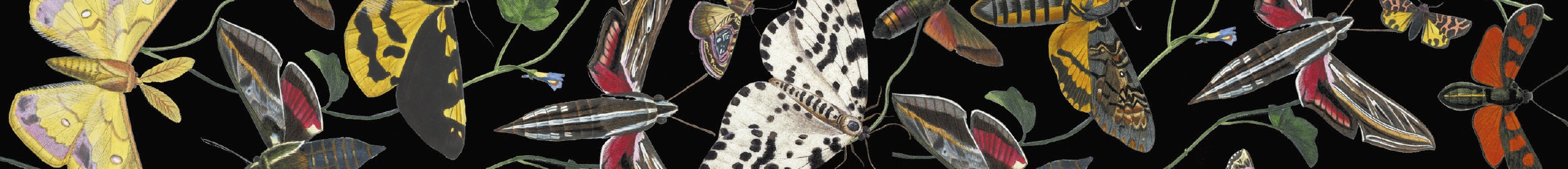 Mothsblood