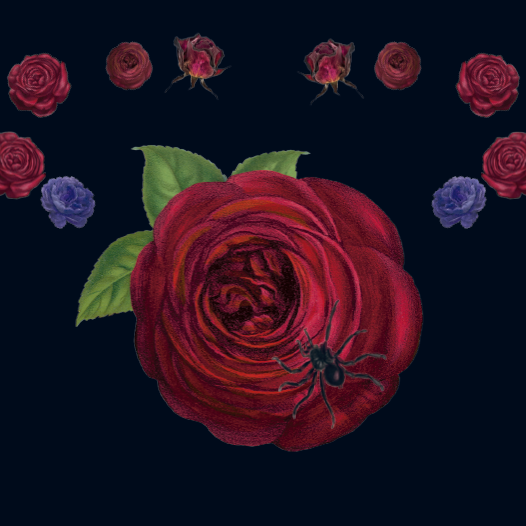 inspo ever&after2.png