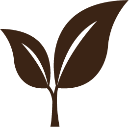 An illustration of a small plant