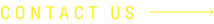 Contact Us button