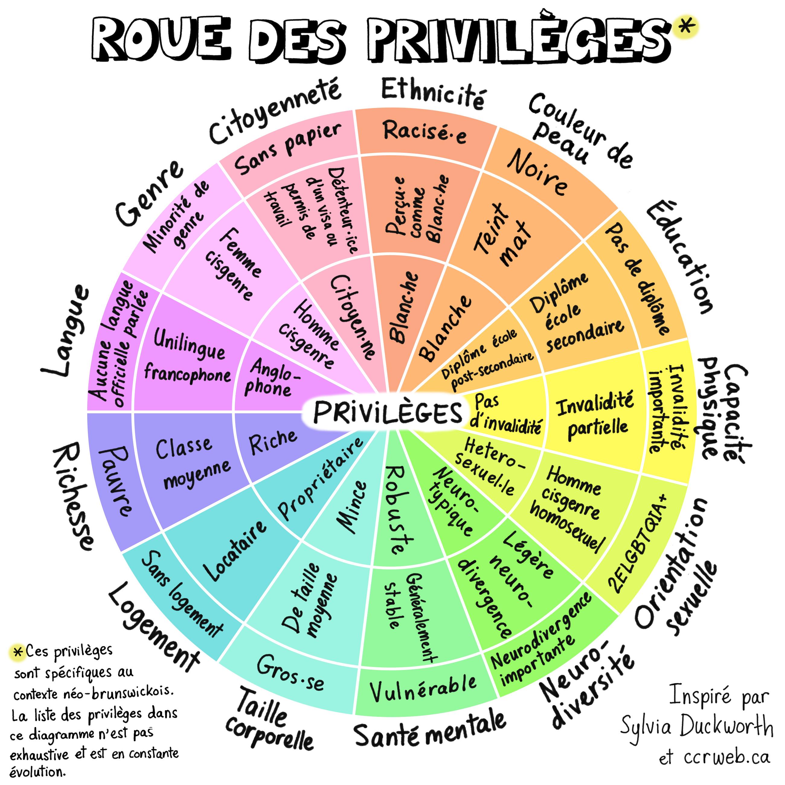 La roue des privilèges englobe 13 critères : citoyenneté, ethnicité, couleur de peau, éducation, capacité physique, orientation sexuelle, neurodiversité, santé mentale, taille corporelle, logement, richesse, langue et genre.