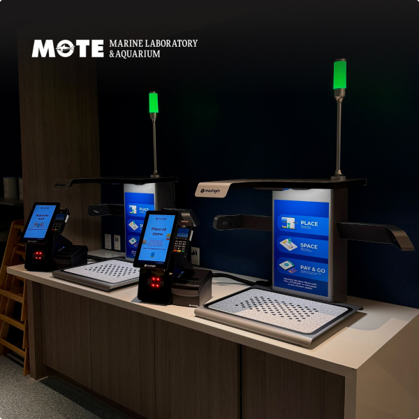 Mote Aquarium