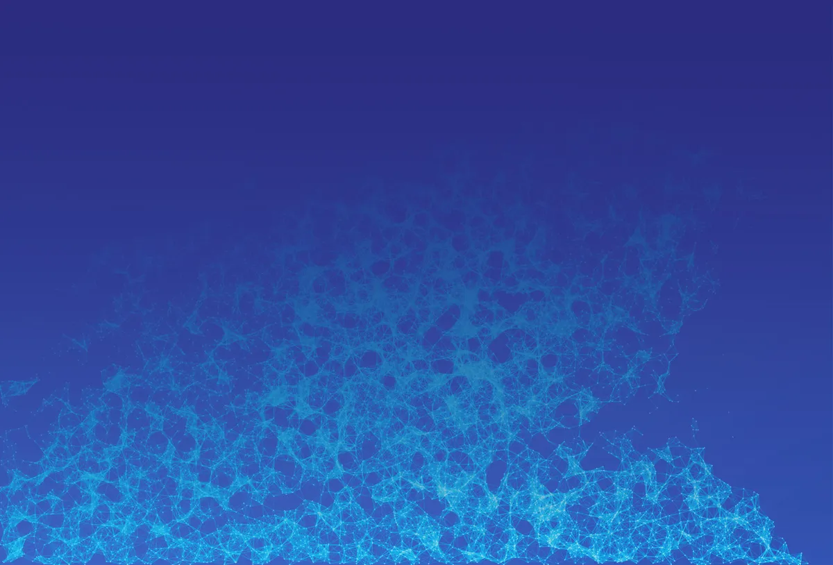 A net of the dots connected together.