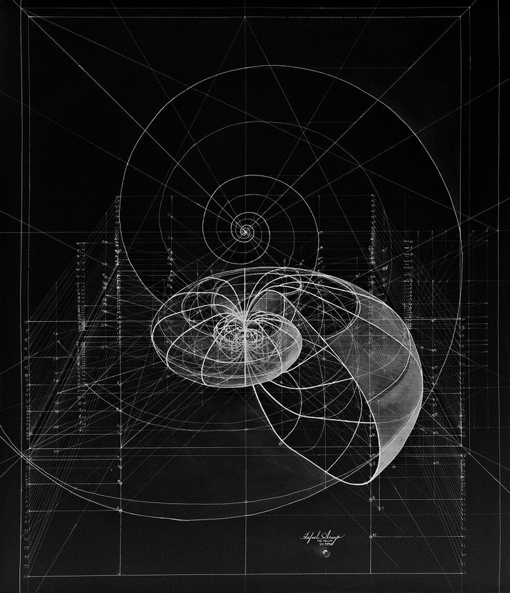 Detailed white line drawing of interconnected spirals and geometric shapes on a black background, resembling a mathematical or scientific diagram.