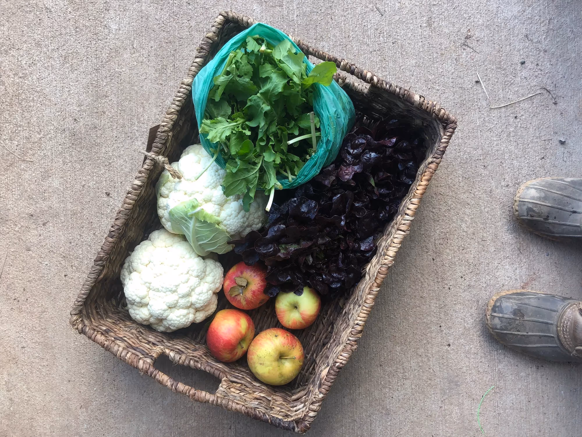 One Acre Farm on CSAs, education, and feeding a community