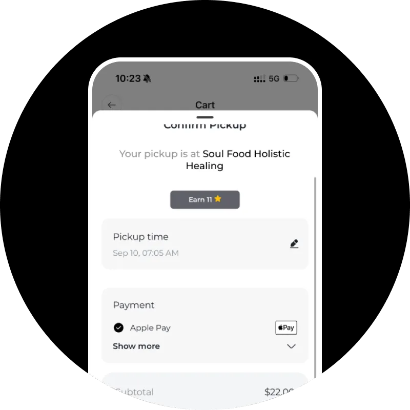 💳 Pay with Apple Pay 