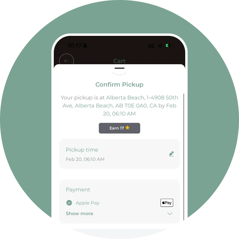 🍏 Pay with Apple Pay
