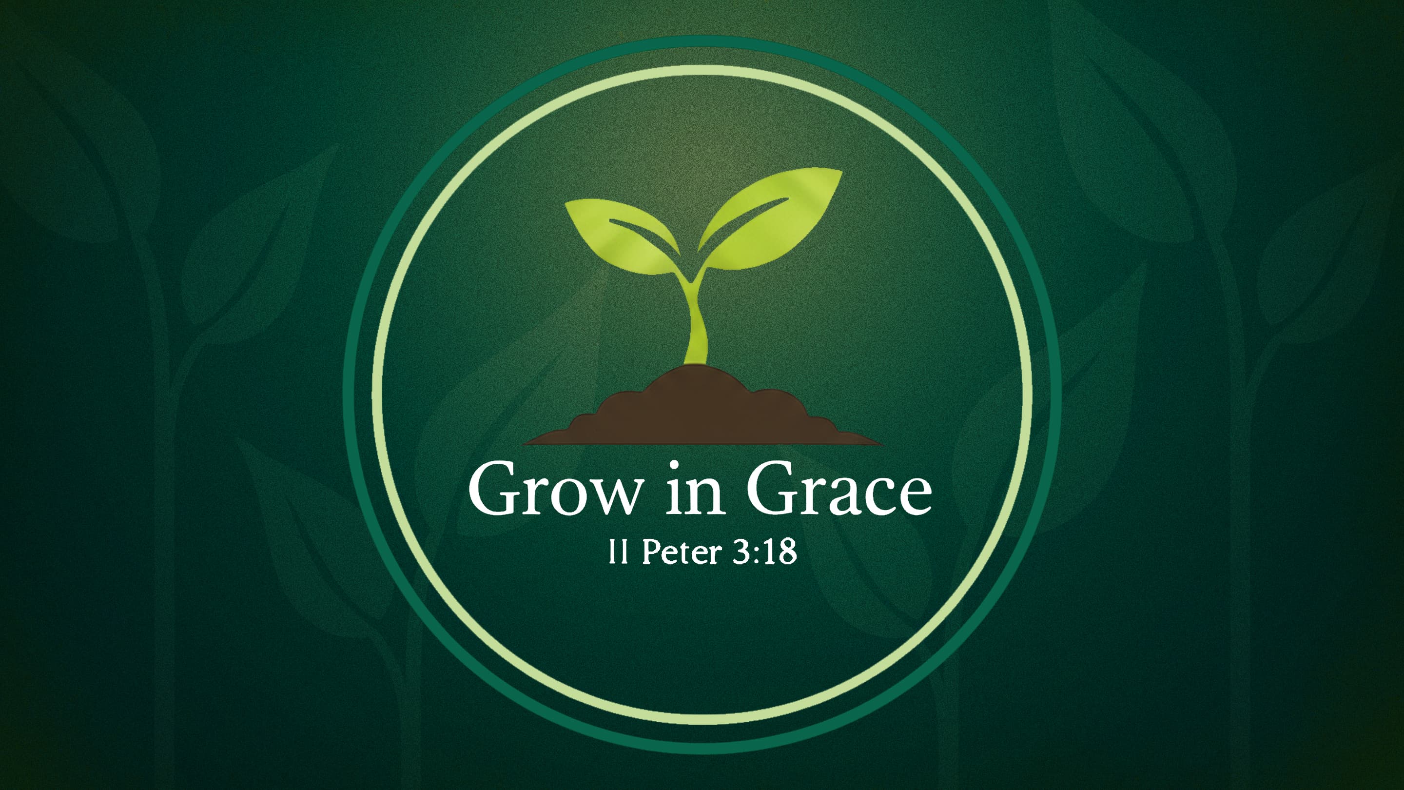 Grow In Grace