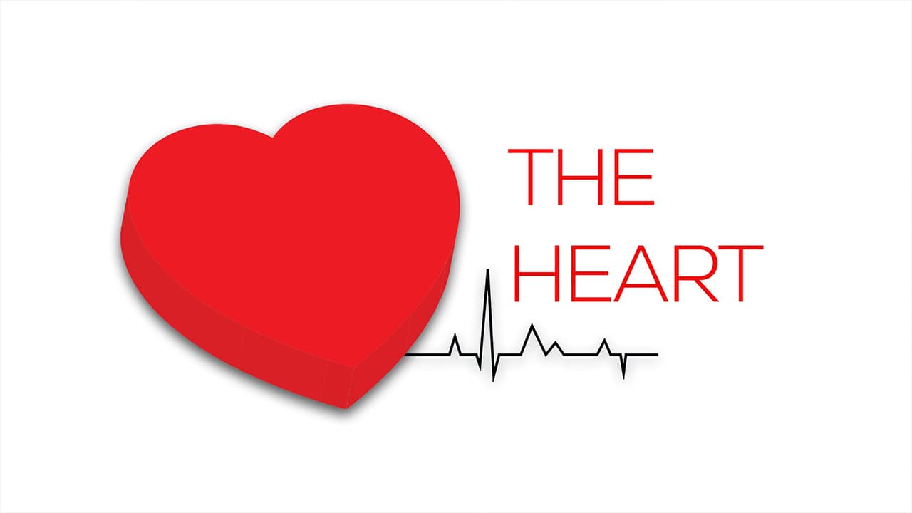 The Heart