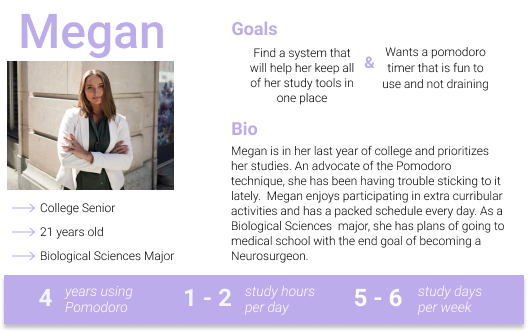 A persona for a user named Megan with information about her. 
