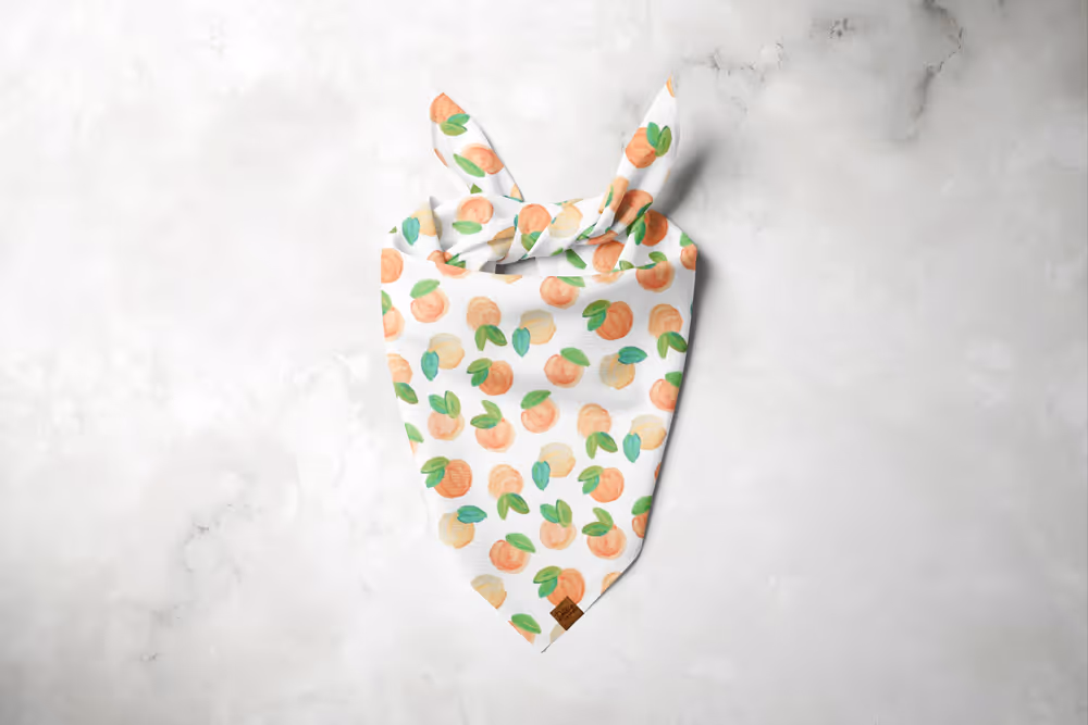 Georgia Peach Dog Bandana