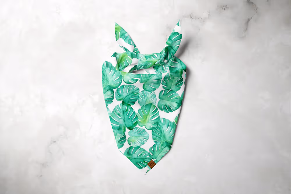 Monstera Dog Bandana