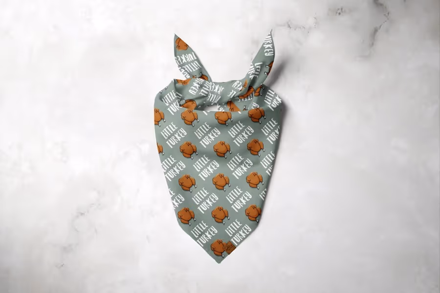 Little Turkey Dog Bandana