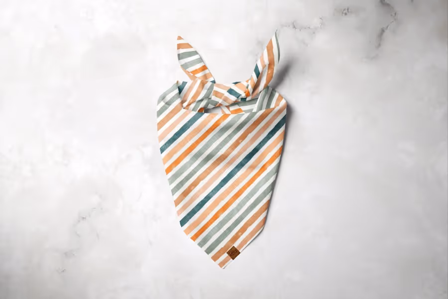 Fall Stripes Dog Bandana