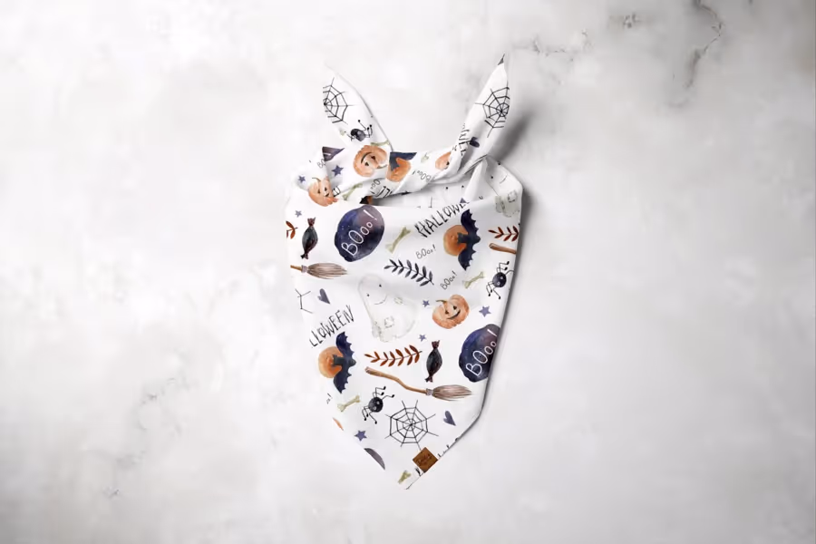 Halloween Essentials Dog Bandana