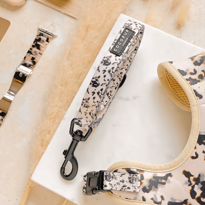 Dog Leash - Ivory Tort