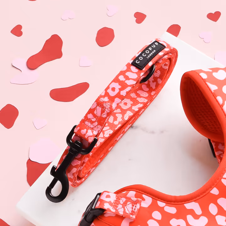 Dog Leash - Pink and Red Leopard