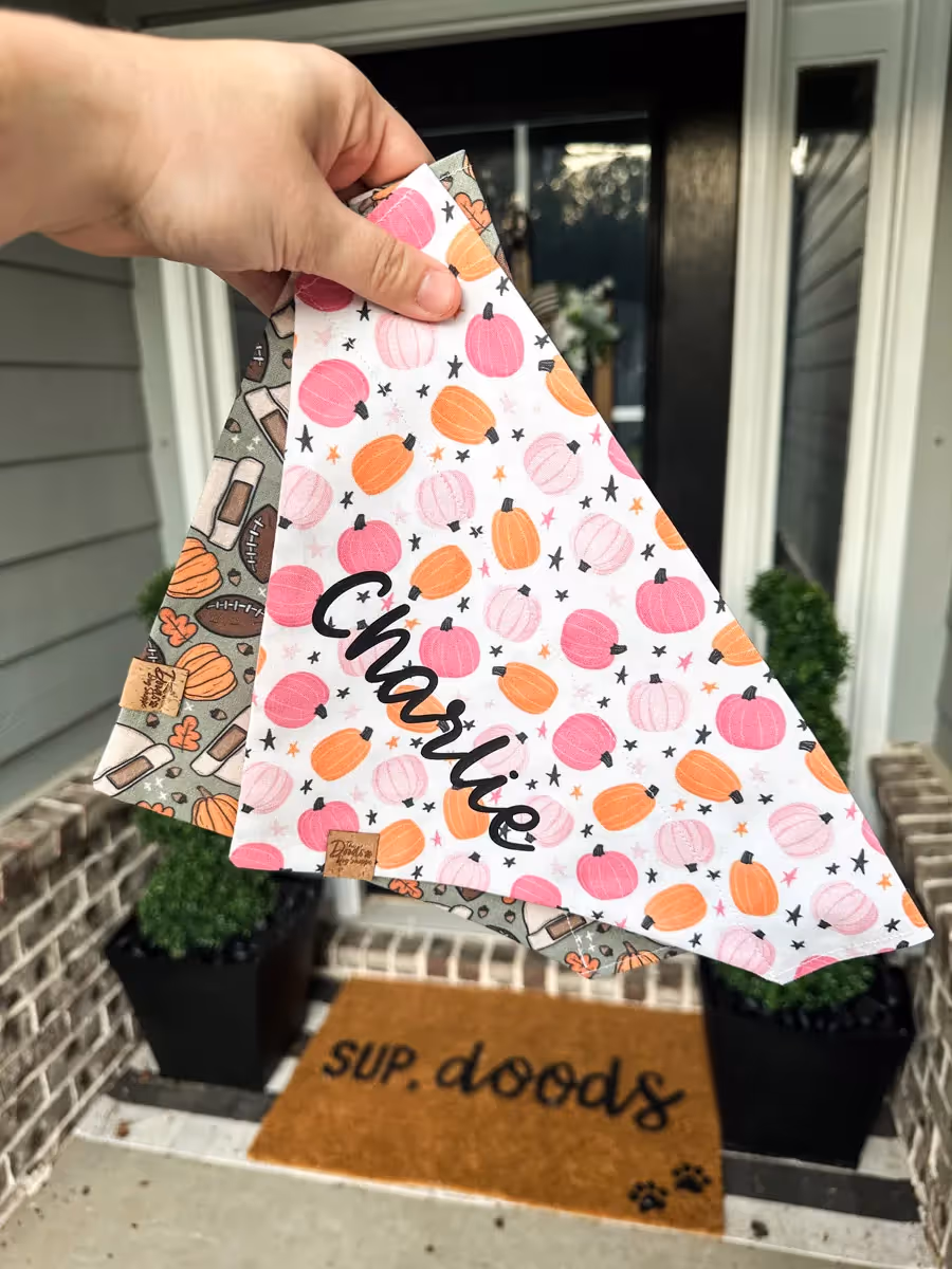 close up hand holding 2 dog bandanas with dog names on them (Charlie & another name that is hidden)