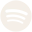 Spotify Icon