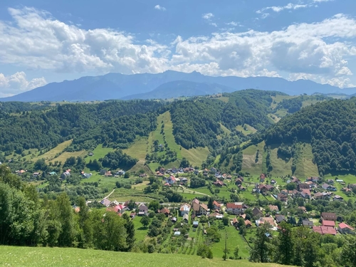 4 Agentia Maximize Intalnire Munte