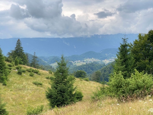 5 Agentia Maximize Intalnire Munte